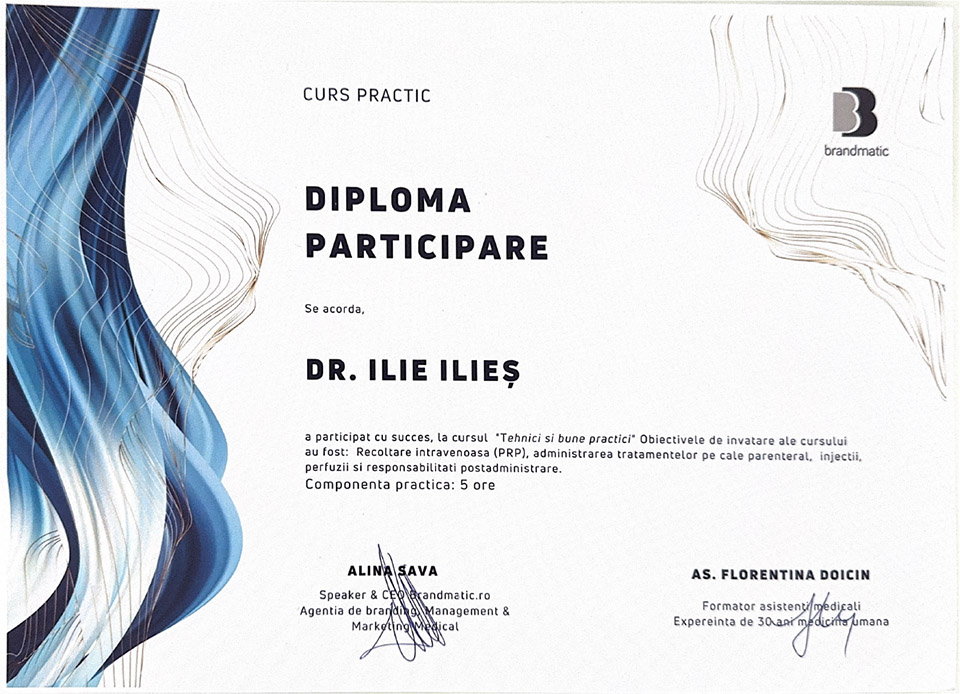 Diplomă / certificat 4