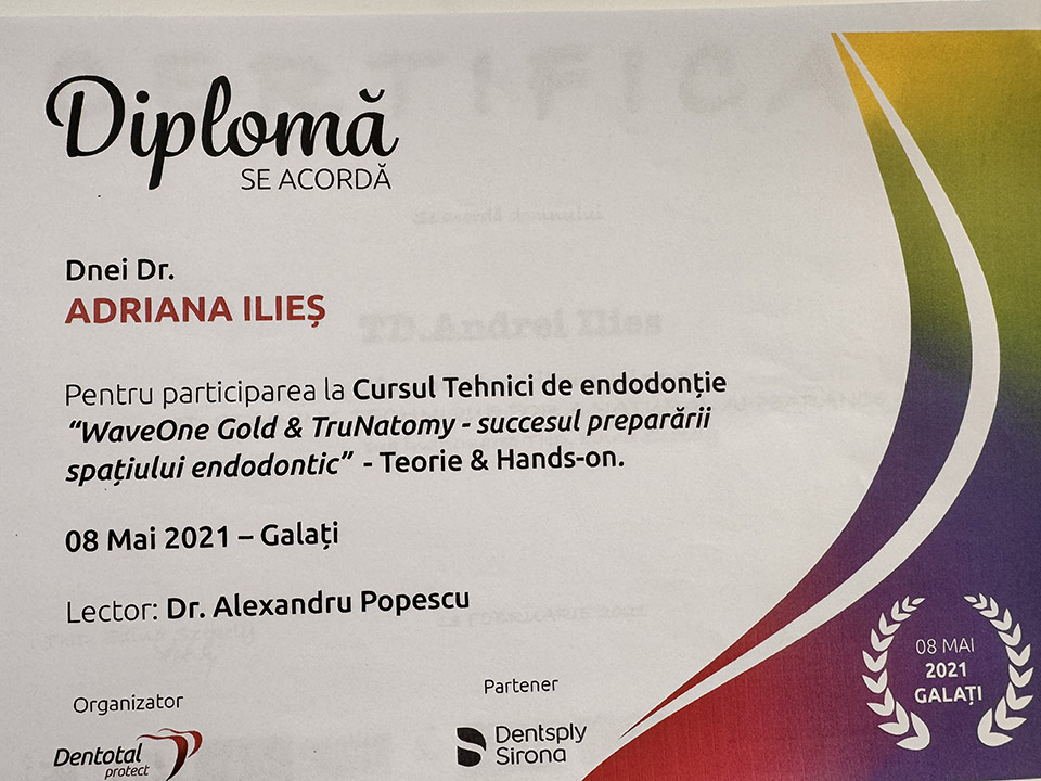 Diplomă / certificat 8